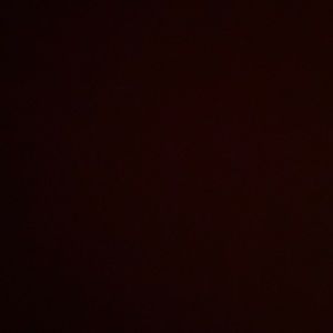 Meet your Posher, Mackenzie